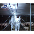 China well design prefabricated light steel structure feeder pig farming barn shed with equipments